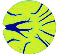 Petri dish petri dish