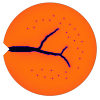 Petri dish petri dish